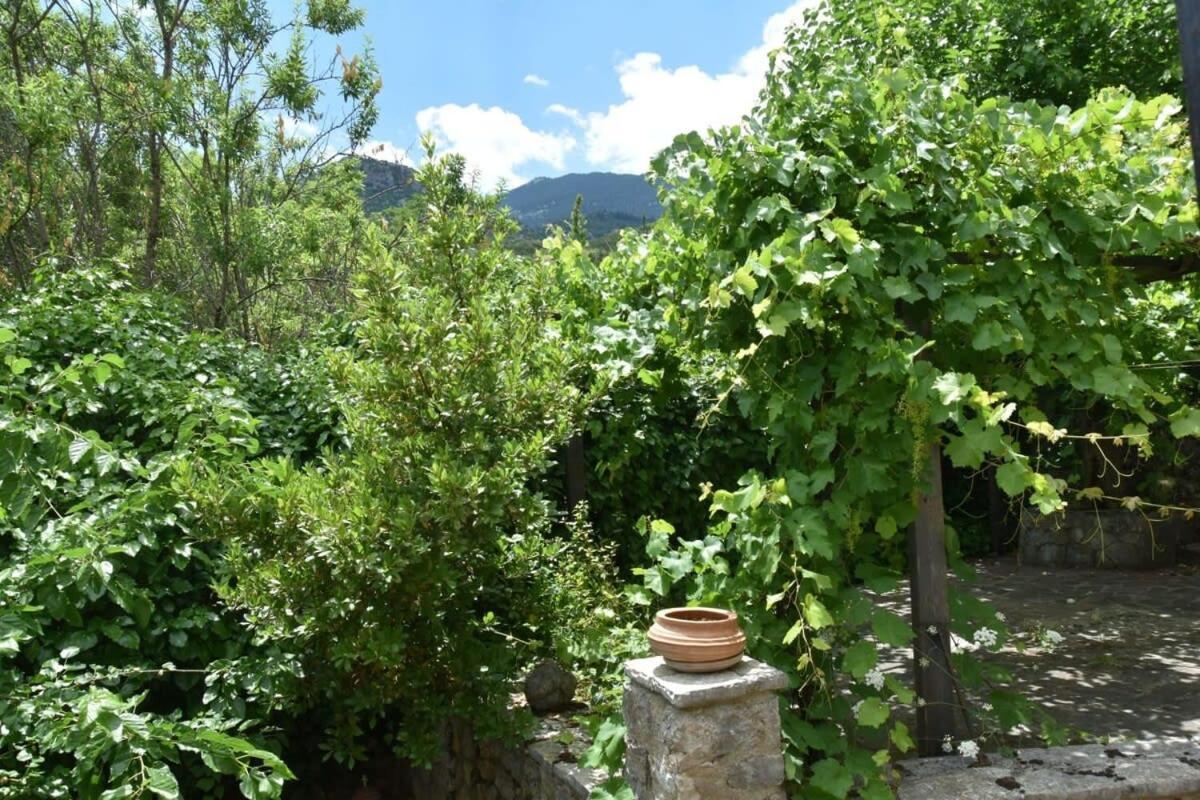 Mariolata Vintage Stone Villa - 4 Season Escape Luaran gambar